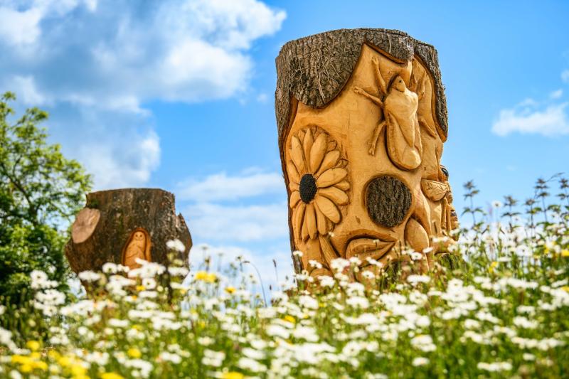 Green Limerick: Council on award shortlist for city greenway project
