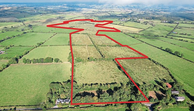 Dublin businessman winning bid of €700,000 secures farm at Limerick auction