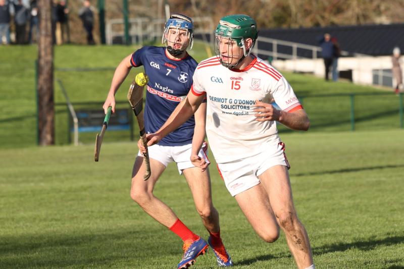 Monaleen U20 hurling manager Niall Macken: 'We've got a good balance going in the club'