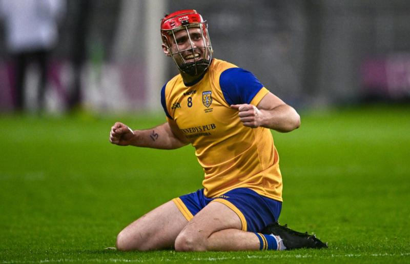 Limerick man stars in Leinster senior hurling final