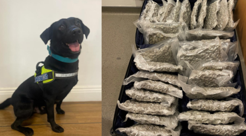Man arrested after Revenue seize over €600k worth of drugs 