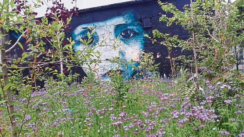 Green Limerick: Street art with a biodiversity twist