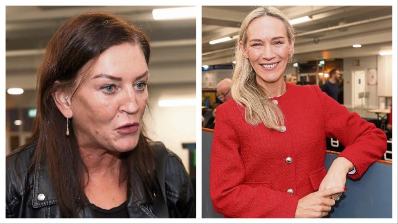 Musical chairs,  high-profile casualties and a fight to the end - Limerick City election