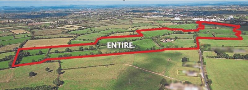 Local farming family win the day in €2m Limerick land auction