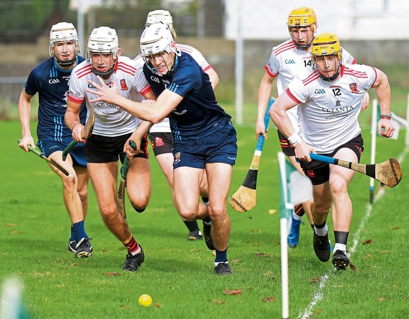 Limerick's Árdscoil Rís learn Dr Harty Cup quarter-final opponents