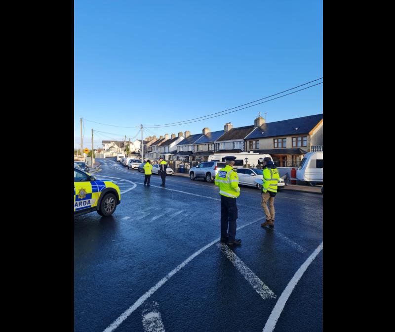 Thirty-three people arrested in Rathkeale following day-of-action by gardai