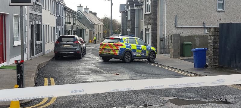 UPDATE: Post-mortem conducted on body of Rathkeale woman who died following hit-and-run