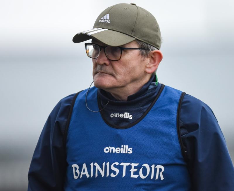 A year in review of Limerick football from county to club