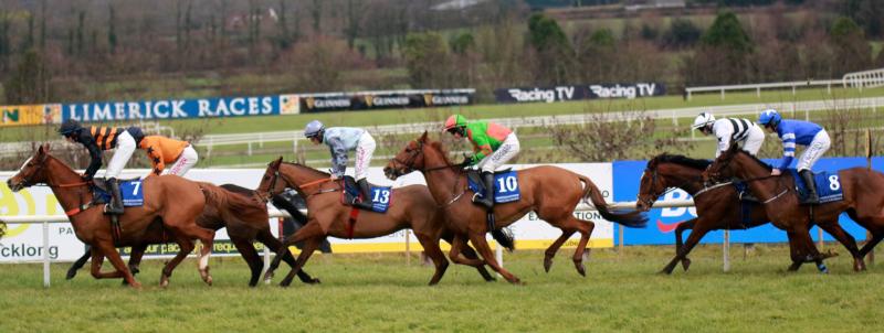 Local successes on final day of Limerick Christmas Racing Festival
