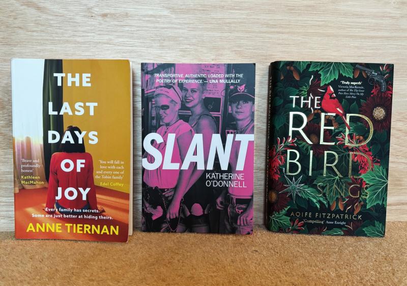 Shortlist revealed for Limerick literary award 