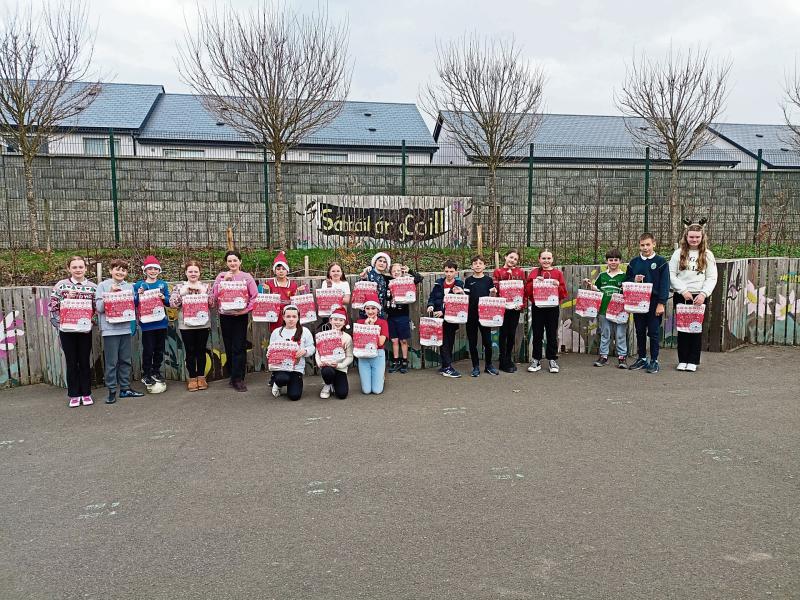 Green Limerick: Castletroy school runners-up in sustainability competition