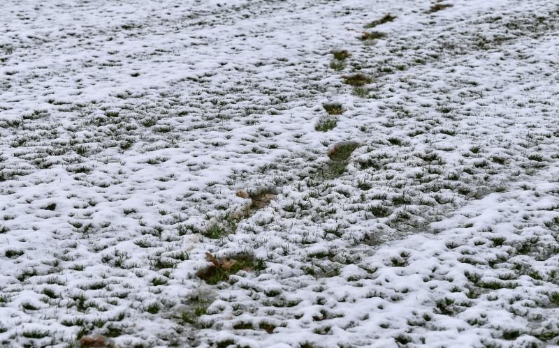 Adverse weather forecast hits weekend Limerick District League fixture schedule