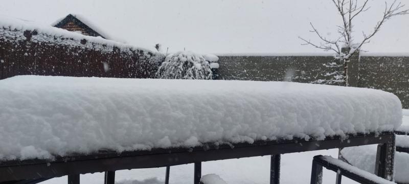 HSE advises patients in Limerick to expect disruption to services as cold snap continues