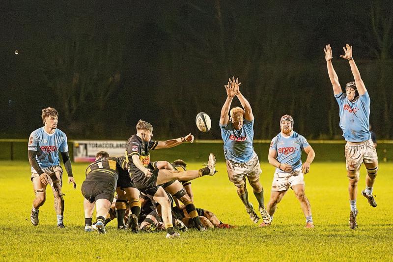 Limerick AIL teams target New Year Cheer 