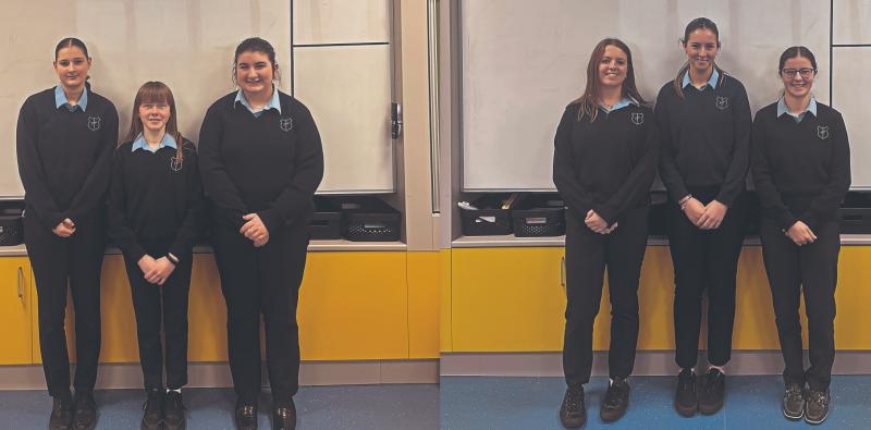 Heart and &lsquo;soil&rsquo; is in Limerick school[s two Young Scientist projects