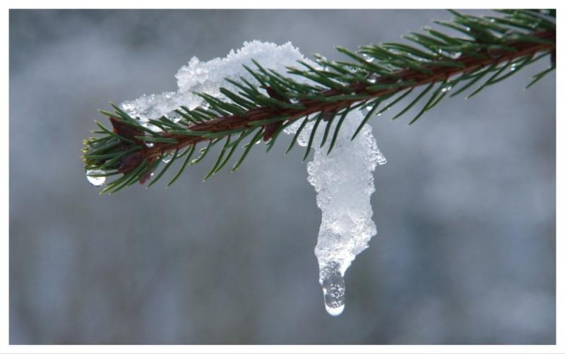 The big thaw is finally here as Met Éireann forecasts an end to cold snap this weekend