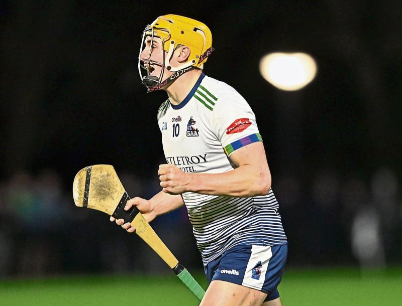 Team-by-team guide: Limerick hurling stars begin Fitzgibbon Cup campaign