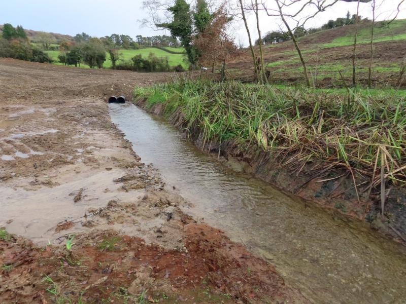 IFI secures conviction for environmental damage to important river Shannon tributary