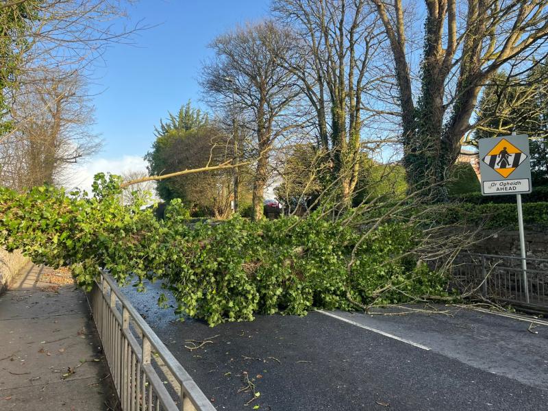 STORM  ÉOWYN LIVE:  Status Red lifted, but fallen trees block roads across Limerick 