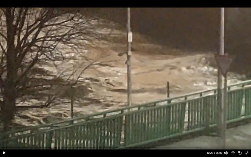 LIVE: Trees and cables down as Limerick wakes up to damage caused by  Storm Éowyn