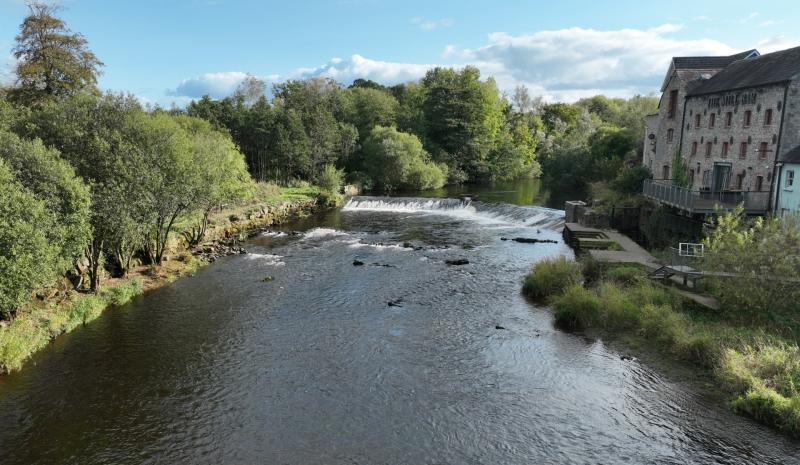 Inland Fisheries Ireland hosts public consultation on Annacotty Fish Passage Project