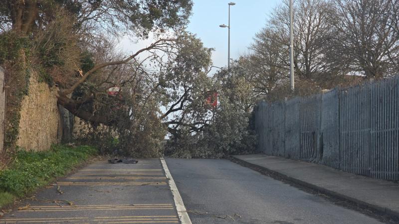  Limerick Council establishes coordination group to assist residents affected by storm