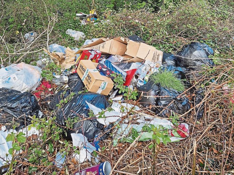 Staggering cost of dealing with illegal dumping in Limerick city revealed