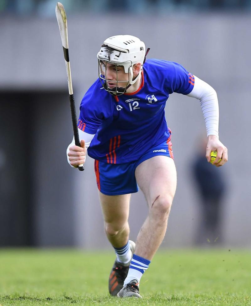 Mary Immaculate College come up short in Fitzgibbon Cup quarter-final against DCU
