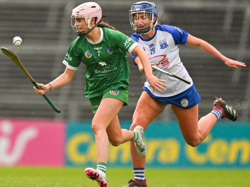 Limerick camogie team open their league campaign