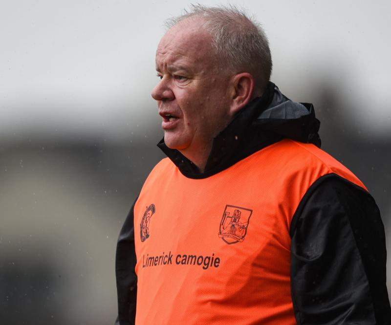 Developing players key Limerick senior camogie manager says Joe Quaid