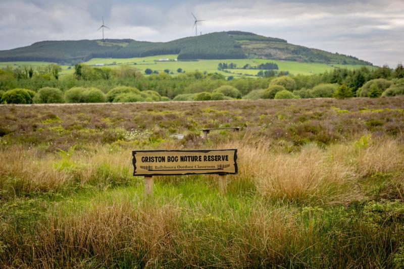 Green Limerick: New e-map to explore outdoor spaces in city and county