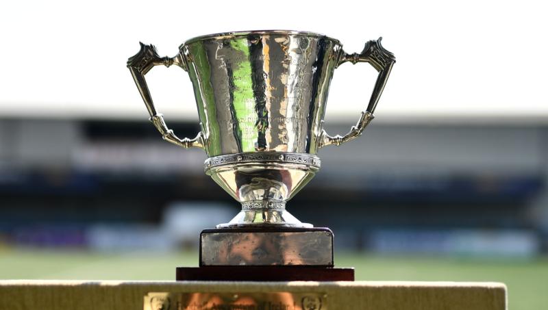 Holders University of Limerick bow out of Collingwood Cup at semi-final stage
