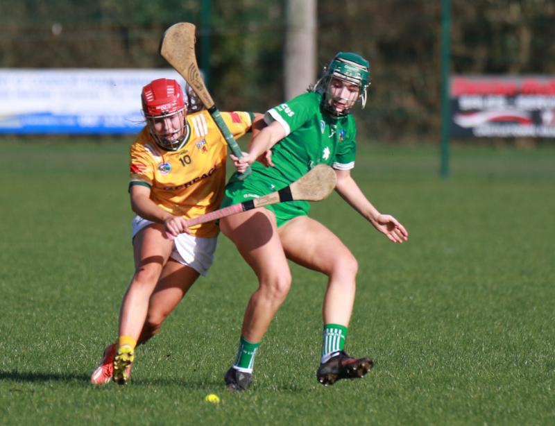 Limerick suffer home defeat to Antrim in Very National Camogie league