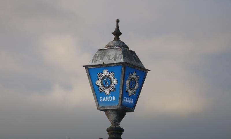 Man arrested following drugs seizure during search of home in Limerick village