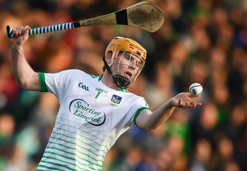 Former Limerick underage hurling star drafted into Dublin senior hurling panel
