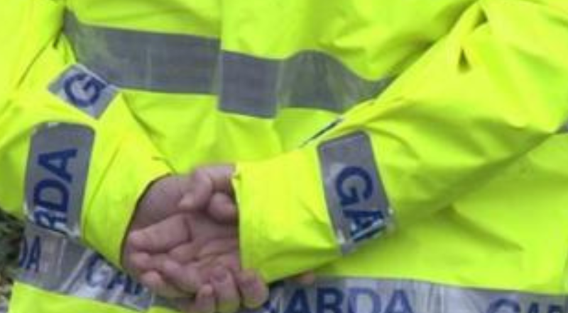 Man arrested and two firearms discovered after stand-off with garda&iacute;