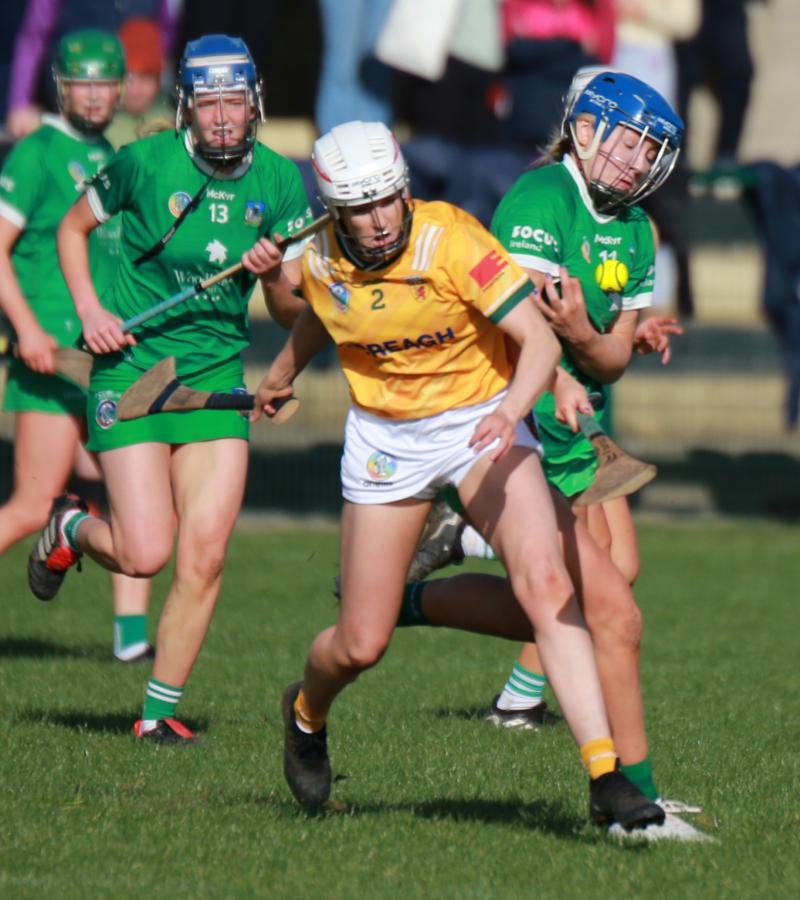 Limerick reset for Wexford fixture in Very National Camogie League