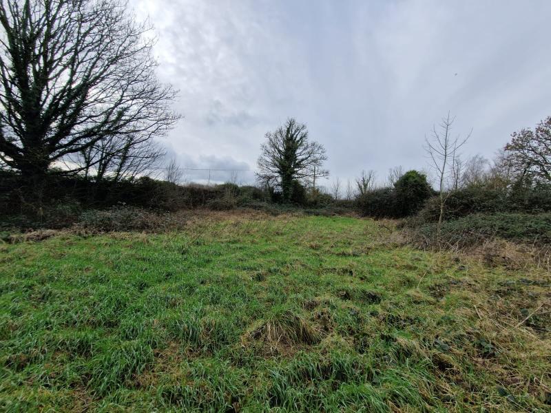 Sensory garden or new homes? Council weighs up options for field in Limerick