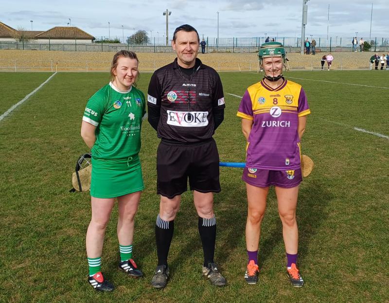 Limerick camogie Wexford