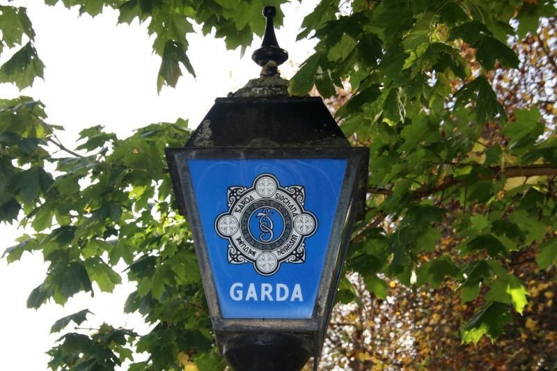 BREAKING:  Gardai seize €100k of cocaine in leafy area of Limerick