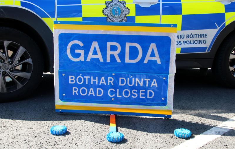 Two hospitalised after collision involving car driven wrong way down Limerick motorway