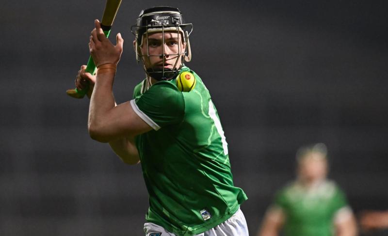 Three Limerick hurlers named GAA.ie Team of the Week