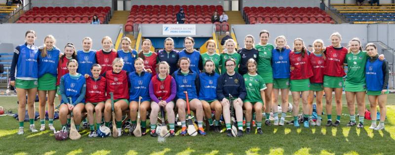 Youthful Limerick lose out to Clare in Division 1B of Very National Camogie League