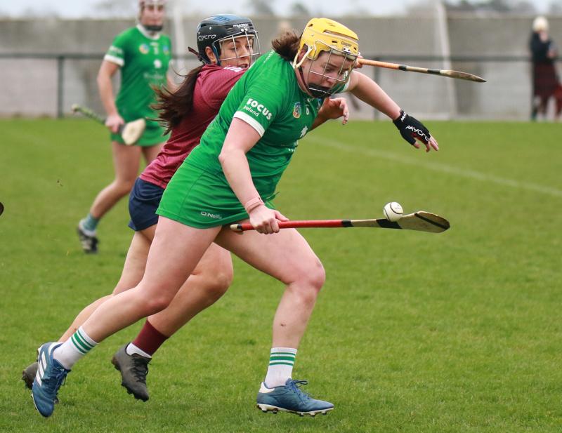 Clinical Limerick power past Westmeath in Very National Camogie League