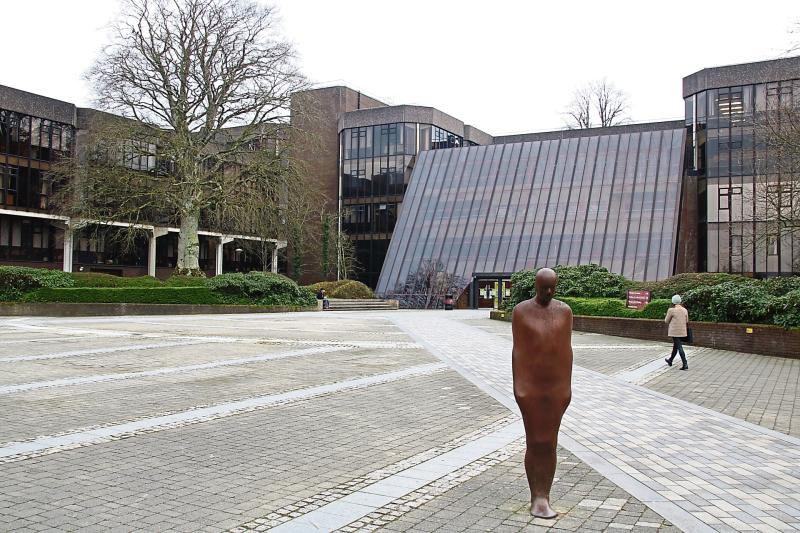 University of Limerick should build multi-storey car park, says councillor