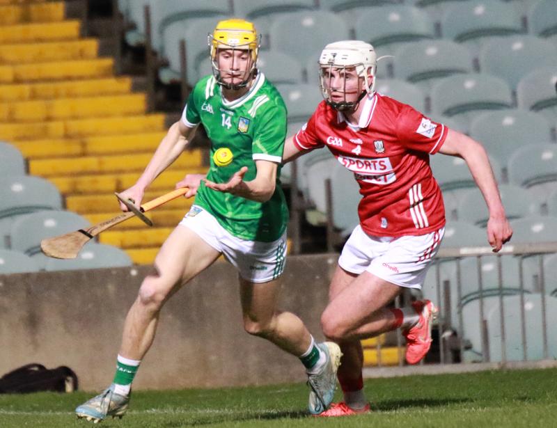 Limerick minor hurlers suffer defeat to Waterford in Munster championship