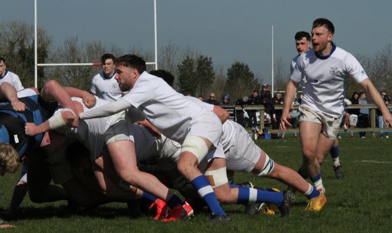 Thomond RFC target return to All-Ireland League ranks