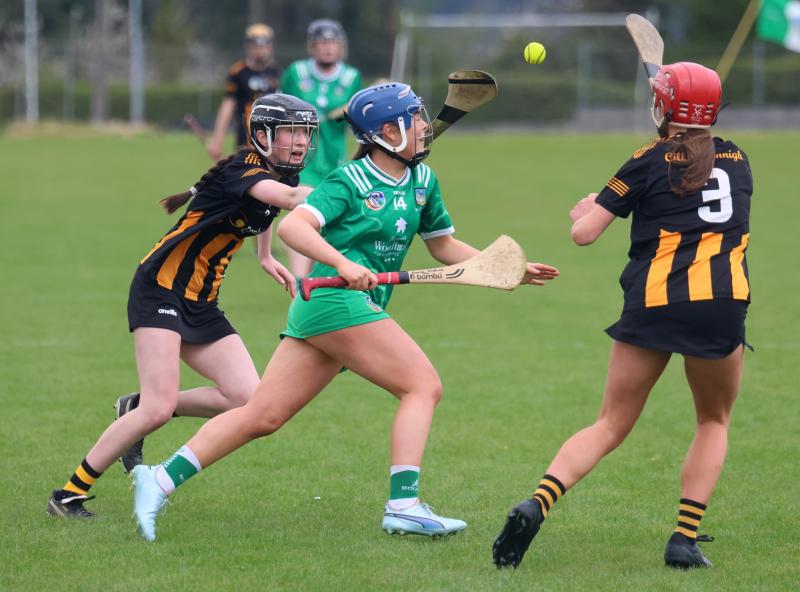 Limerick suffer defeat to Kilkenny in All-Ireland minor 'A' camogie semi-final