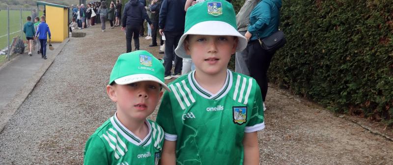 PICTURES: Supporters cheer on Limerick minor camogie side against Kilkenny