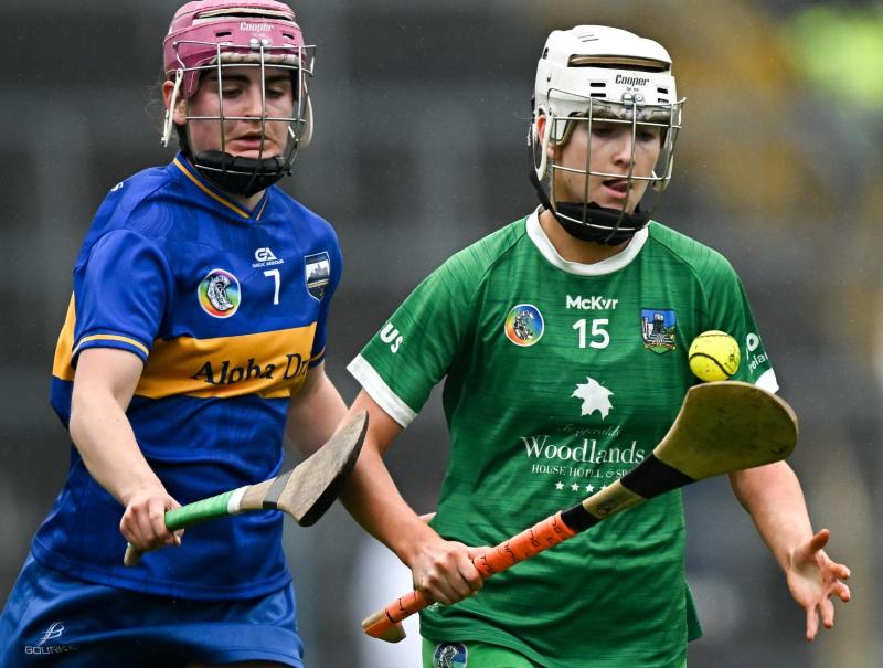 Limerick senior camogie manager Joe Quaid: "We want to play and test ourselves against the best"